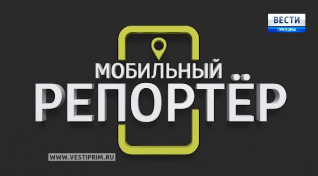 «Мобильный репортер»: Цыганский гипноз, малолетний автомобилист и тюленья радость