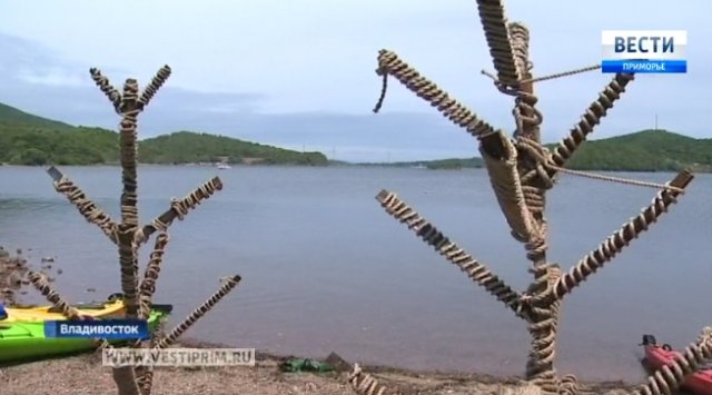 Водолазы установили на дне бухты Новик  «елки» для живых «фильтров»