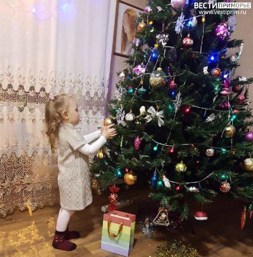 Новогодняя Елка Устанавливается На Устойчивом Основании Новогодняя Елка Устанавливается На Устойчивом Основании