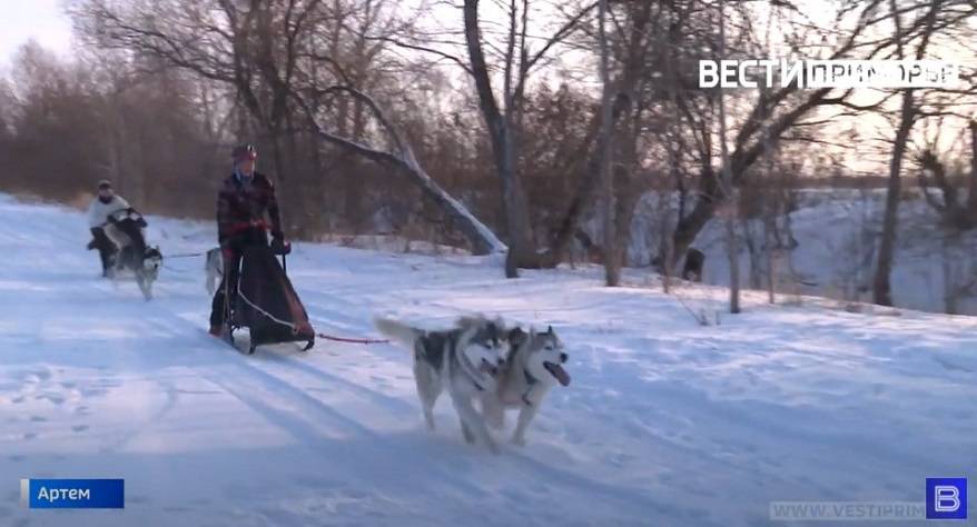 Юные каюры из Артема готовятся к гонке на Камчатке