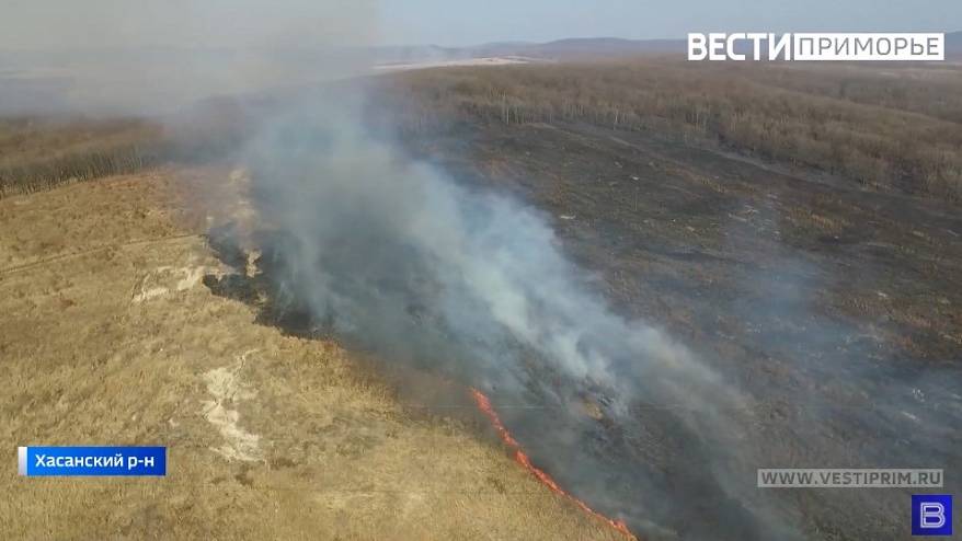 Отбивались трое суток: Хасанский район оказался во власти пожара