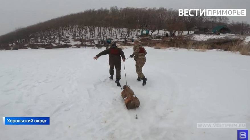 С кабанчиком на поводке: Спортивная олимпиада среди охотников состоялась в Приморье