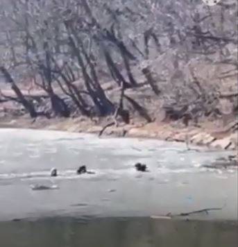 Двое детей провалились под лед на озере во Владивостоке