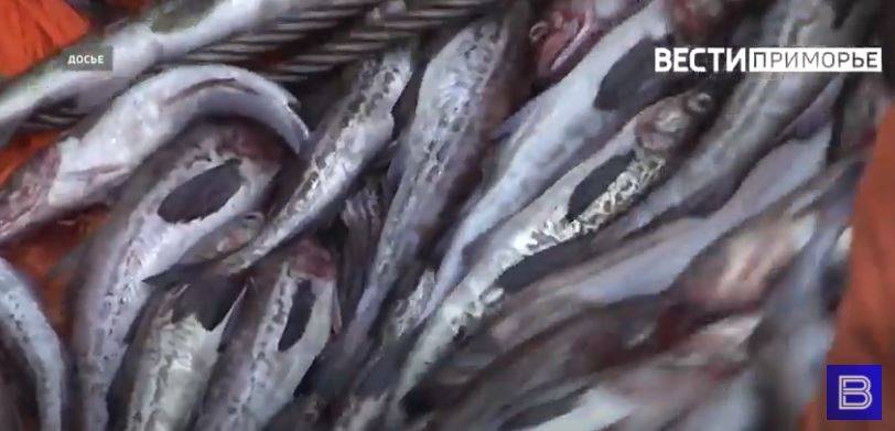 Более 247 тыс. тонн рыбопродукции экспортировано из Приморья с начала 2022 года