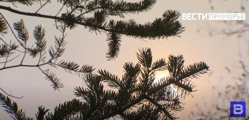 Погода преподнесет подарок приморцам на выходных
