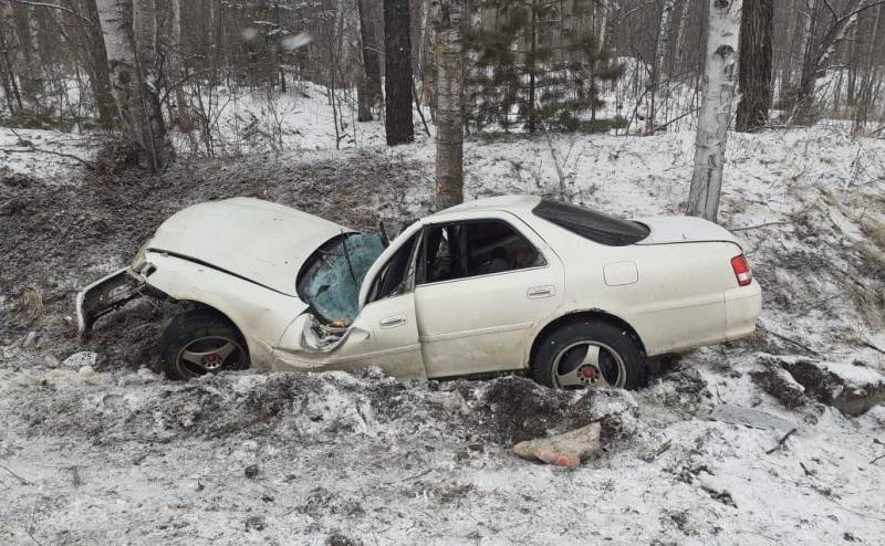 Авто "намотало" на дерево: жесткая авария произошла в Приморье