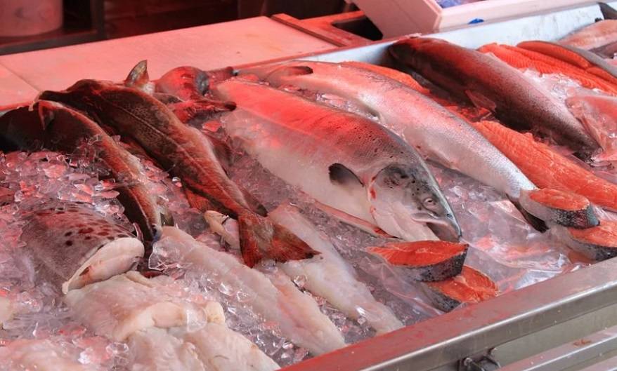 Где во Владивостоке дешевле купить мороженую рыбу. Цены