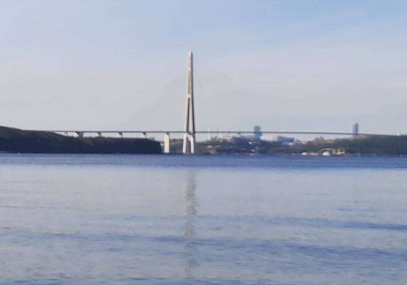 Ситуация на Русском мосту встревожила жительницу Владивостока