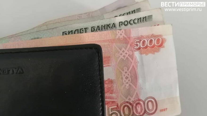 От 6 до 11 млн рублей задекларировали в 2021 году депутаты Госдумы и сенаторы от Приморья