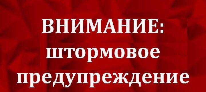 Синоптики расширили зону штормового предупреждения в Приморье
