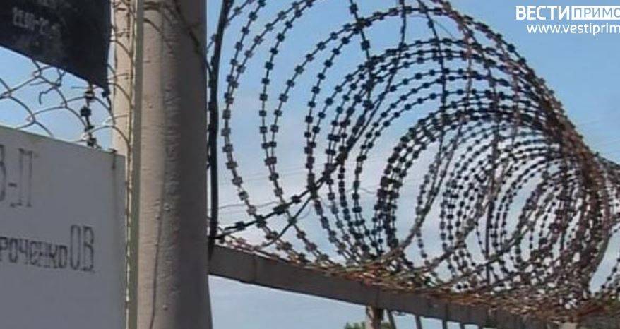 Запрещенные предметы пытались перебросить на территорию ИК-22 в Приморье
