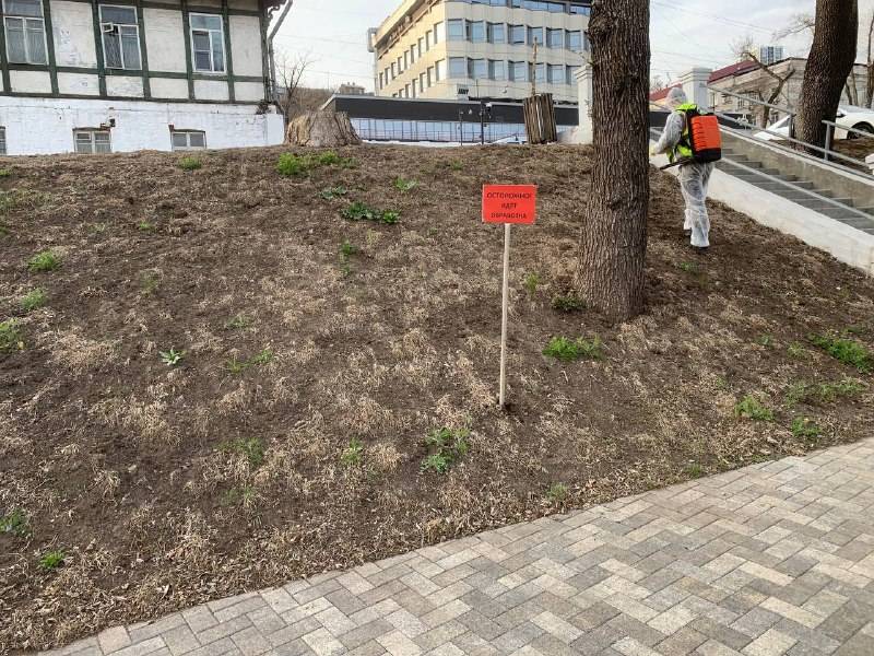Горожанам запретили находиться в скверах Владивостока