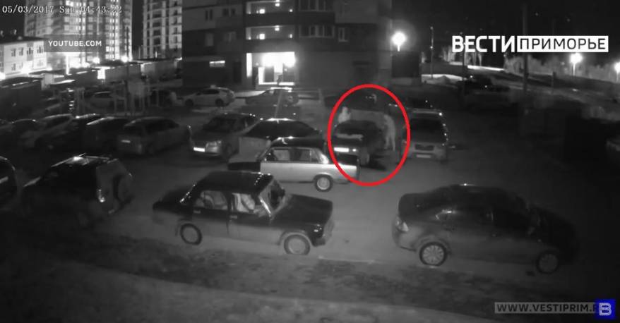 Под покровом ночи работают профессионалы: автолюбители столкнулись с новой проблемой