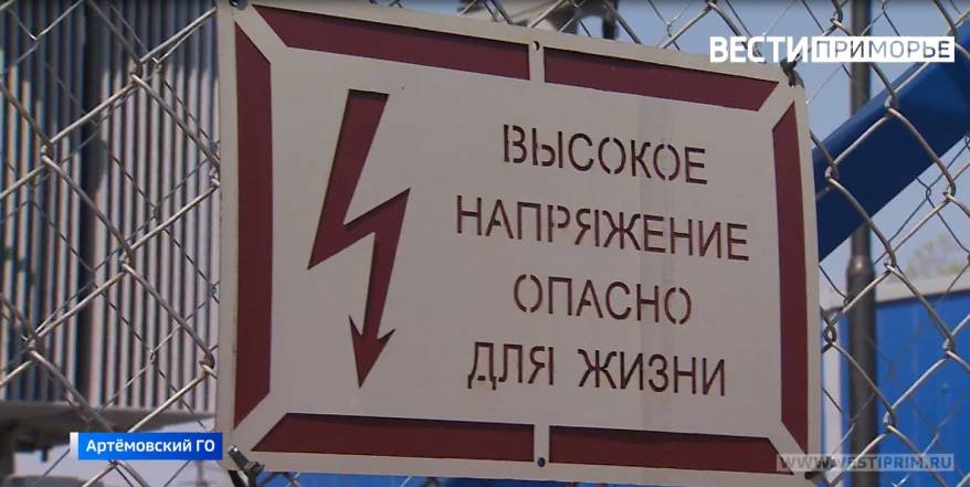 Мать погибла от удара электрическим током под Уссурийском: сиротами остались четыре малыша