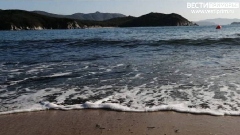 «Кто крайний, я за вами»: Кадры с любимого пляжа восхитили граждан