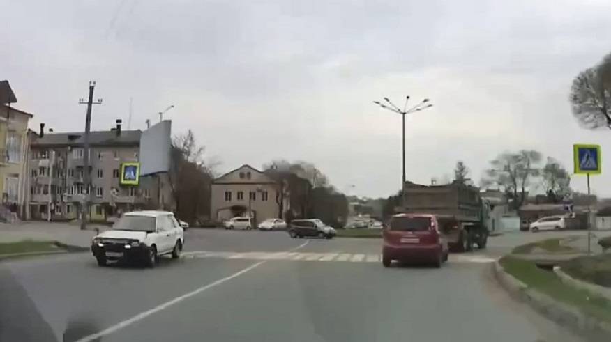 «Умнее многих двуногих»: Приморцев восхитило видео в Сети «Умнее многих двуногих»: Приморцев восхитило видео в Сети