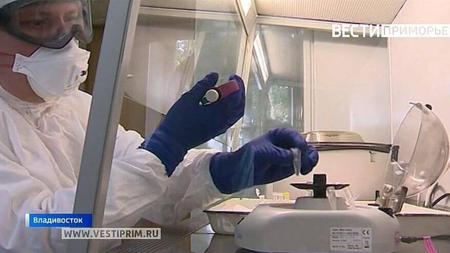 62 новых случая коронавирусной инфекции выявлено в Приморье 62 новых случая коронавирусной инфекции выявлено в Приморье