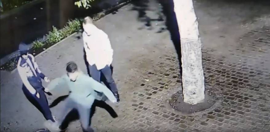 Ночной погром в Покровском парке Владивостока попал на видео