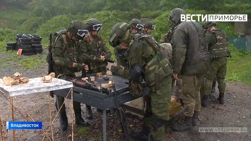 «Тигры» на Украине: добровольческий батальон присоединится к морпехам Приморья