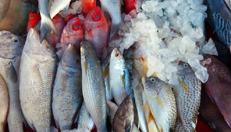Тонны рыбопродукции оформлялись на фантомной площадке в Приморье Тонны рыбопродукции оформлялись на фантомной площадке в Приморье