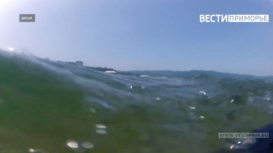 Достали троих из воды: о новых трагедиях на море в Приморье сообщают соцсети