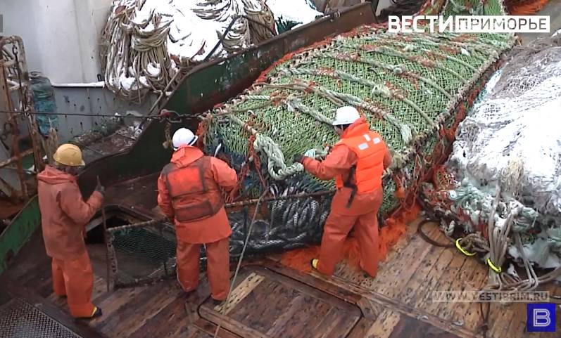 Рыба и морепродукты уходят из Приморья на экспорт Рыба и морепродукты уходят из Приморья на экспорт