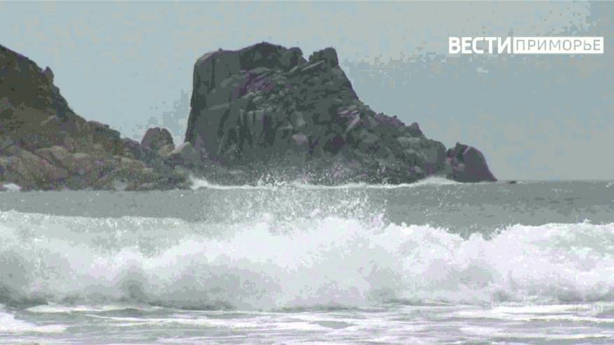 Тайфун Hinamnor на подходе к Приморью: синоптики уточнили штормовое предупреждение