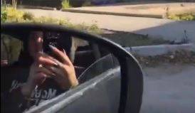 "Откуда ты, моя хорошая?": умилительное видео снял приморец в центре Дальнегорска