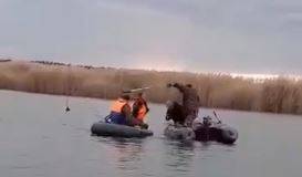 "Пираты XXI века берут друг друга на абордаж": жесткая разборка браконьеров попала на видео