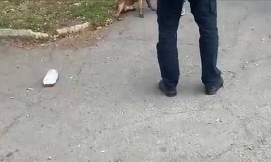 Сотни комментариев: Инцидент на улице стал достоянием общественности