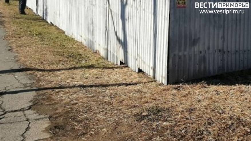 «Во, умора, торчит из забора»: Торговая точка вызвала недоумение у горожан (фото)