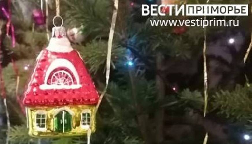 «К Новому году»: Ветви Нобилиса прибыли во Владивосток