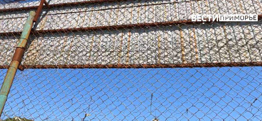 В Приморье многодетного отца отправили в места лишения свободы В Приморье многодетного отца отправили в места лишения свободы