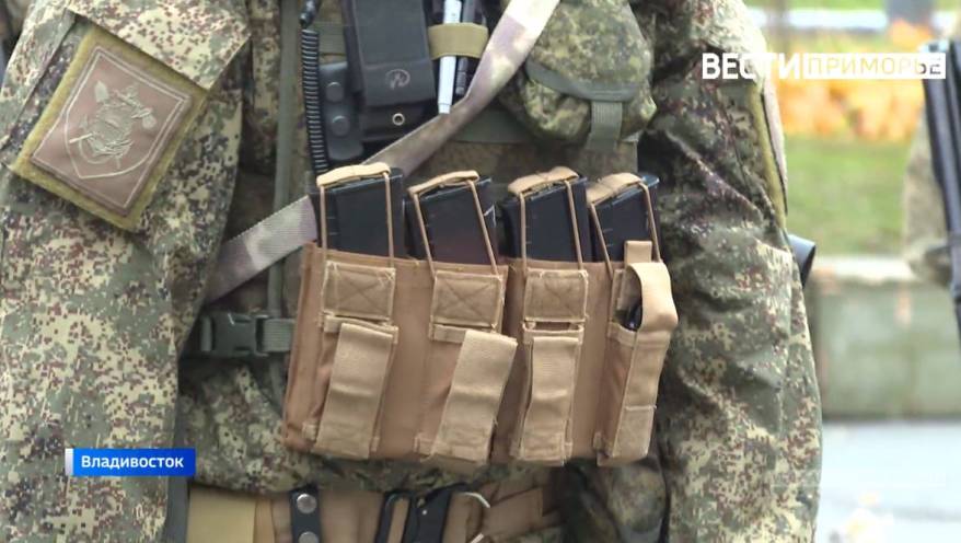 Добровольцы получат компенсации: Госдума приняла новый закон