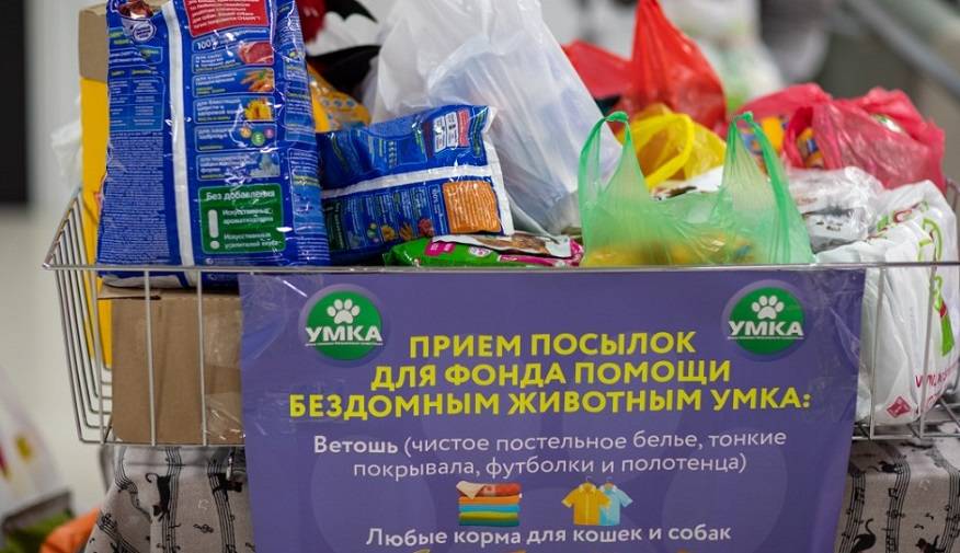 Болельщики «Адмирала» собрали бездомным животным почти 500 кг корма