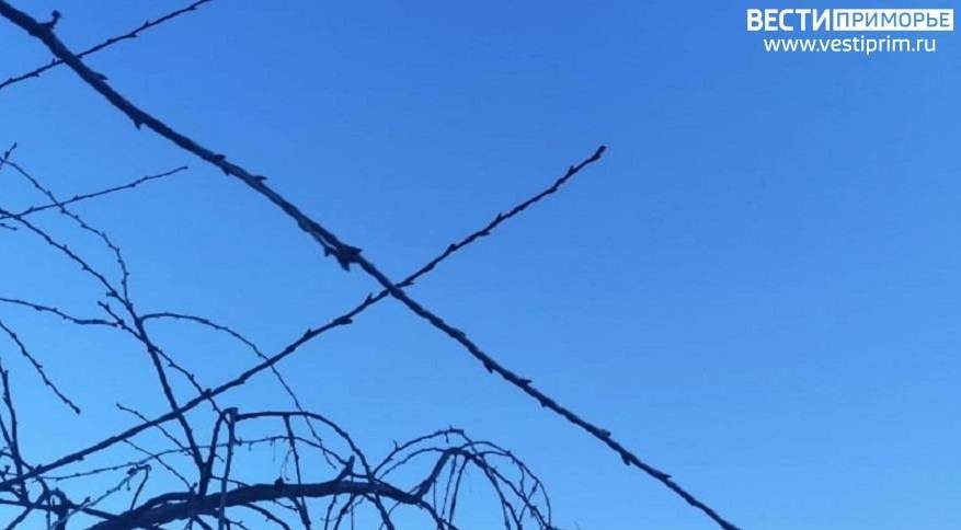 «Чуть сердце не остановилось»: Картина в небе поразила приморцев