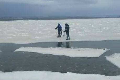 "Уносит на глазах": Льдину с рыбаками оторвало от берега во Владивостоке
