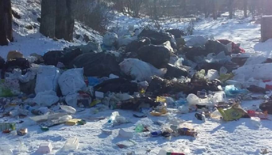 Центр села тонет в кучах мусора, который сбрасывает бригада мусоровоза Центр села тонет в кучах мусора, который сбрасывает бригада мусоровоза