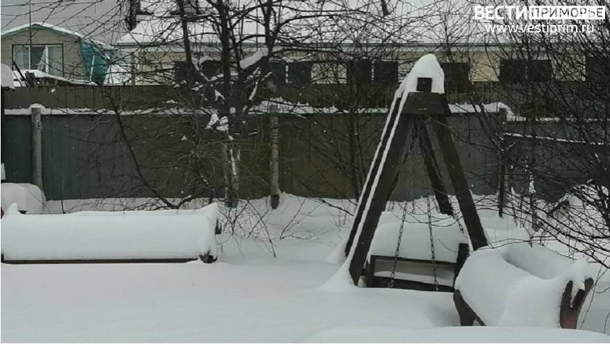 «Откопали»: Игры детей из Приморья привлекли внимание граждан центральной России «Откопали»: Игры детей из Приморья привлекли внимание граждан центральной России