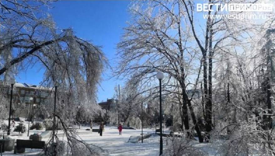 Оставили умирать: Инцидент на улице поверг в шок горожан
