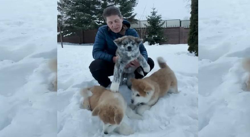 Губернатор Приморья раздает щенков Губернатор Приморья раздает щенков