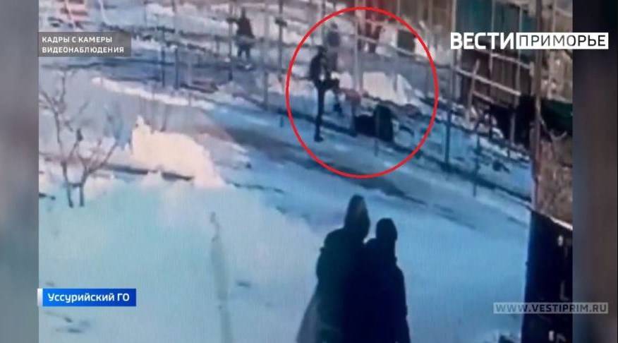 Дело уссурийского льва дошло до председателя Следкома России