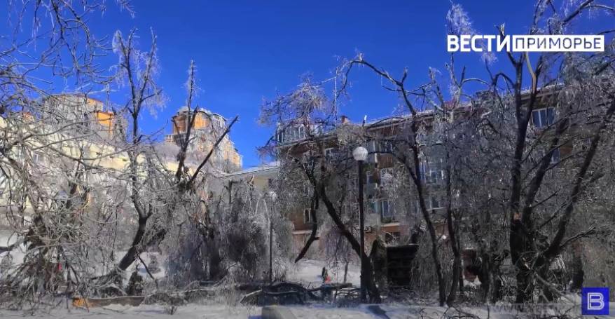 Новая волна холода накроет Приморье Новая волна холода накроет Приморье