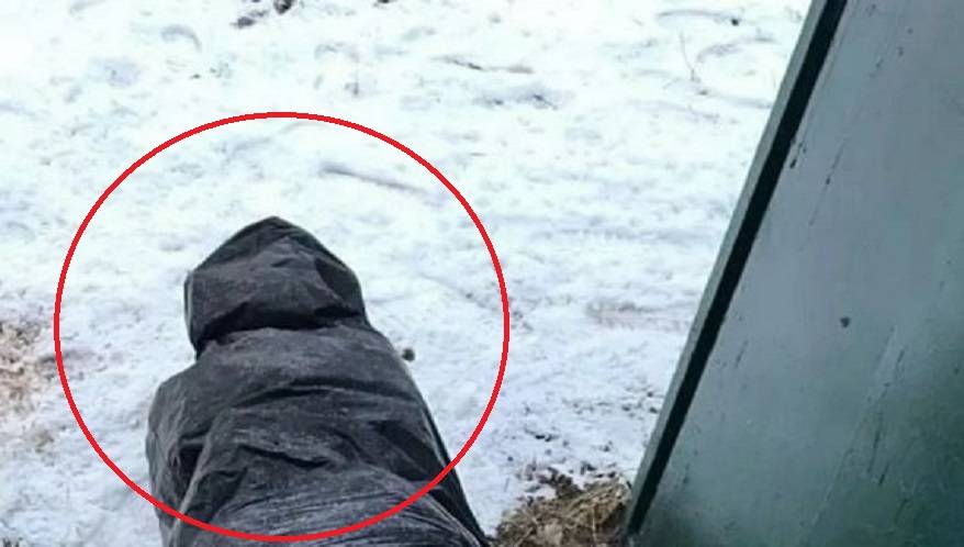 «Спотыкались о труп и испытывали ужас»: Горожане – в недоумении от ситуации на Второй Речке (фото)
