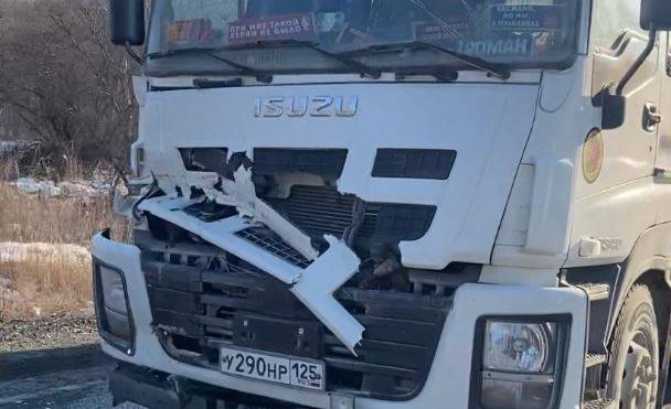 Жесткое ДТП устроили два большегруза на дороге Находка - Артем