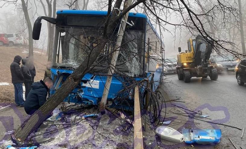 Происшествие в центре Владивостока: пассажирский автобус влетел в дерево (фото)