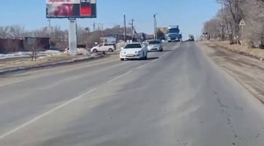 Лощеного красавца на дороге пожалели приморцы Лощеного красавца на дороге пожалели приморцы