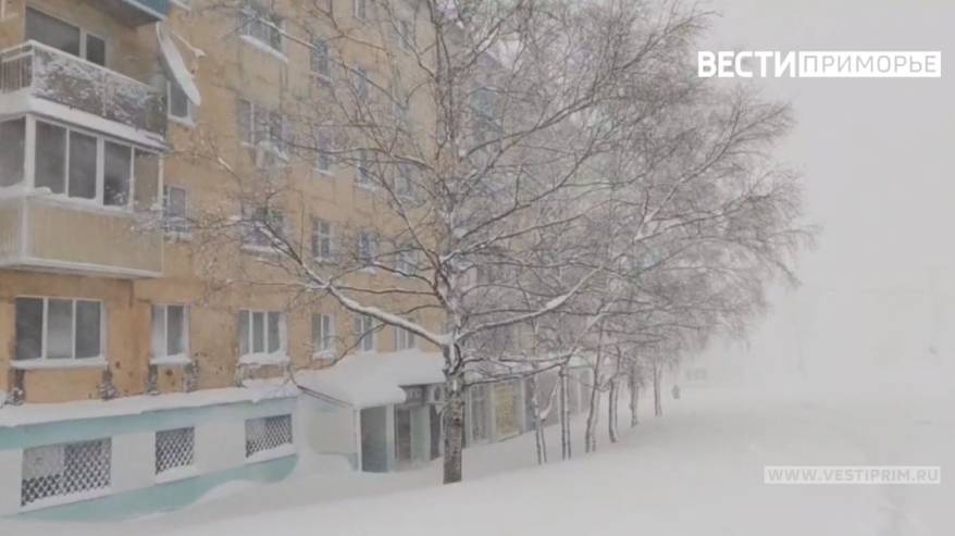 Двухдневный снегопад обещают синоптики Владивостоку в конце февраля Двухдневный снегопад обещают синоптики Владивостоку в конце февраля