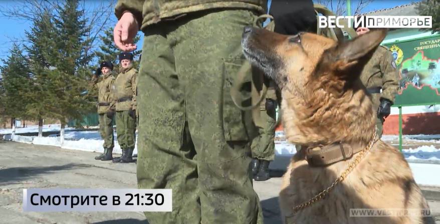 Служебную собаку по кличке Анда наградили медалью в Приморье