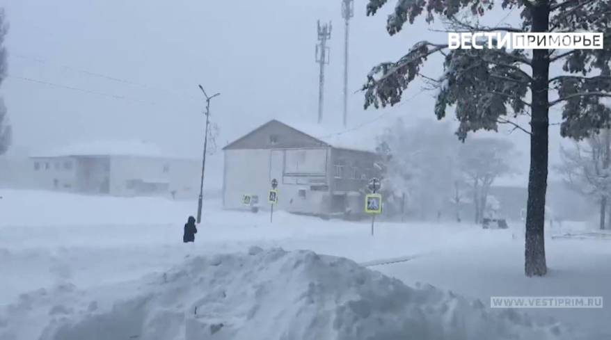 В Примгидромете высказались о двухдневном снегопаде и похолодании до -30 в Приморье В Примгидромете высказались о двухдневном снегопаде и похолодании до -30 в Приморье